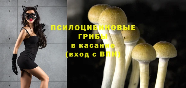 шишки Алзамай
