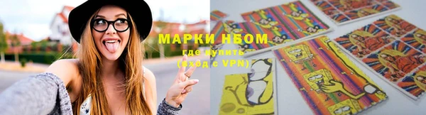 шишки Алзамай