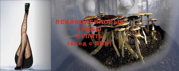 шишки Алзамай