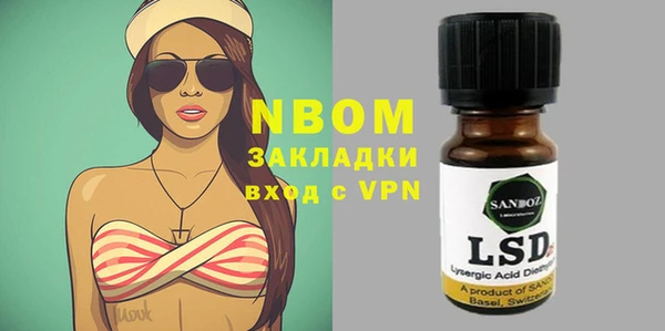 шишки Алзамай