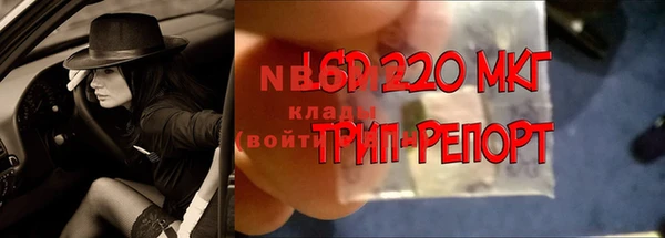 шишки Алзамай