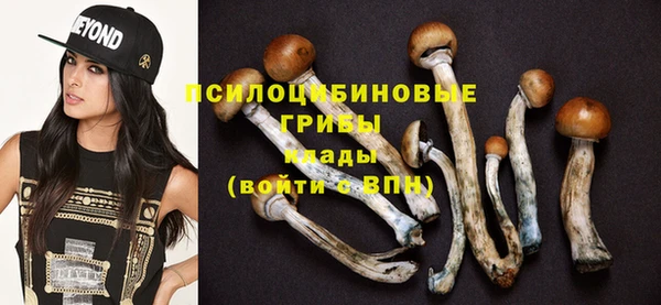 шишки Алзамай