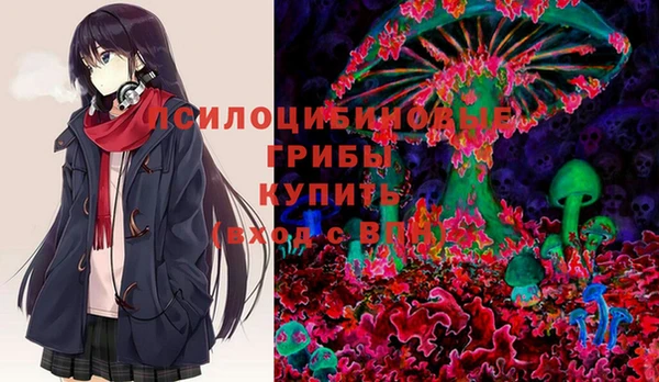 шишки Алзамай