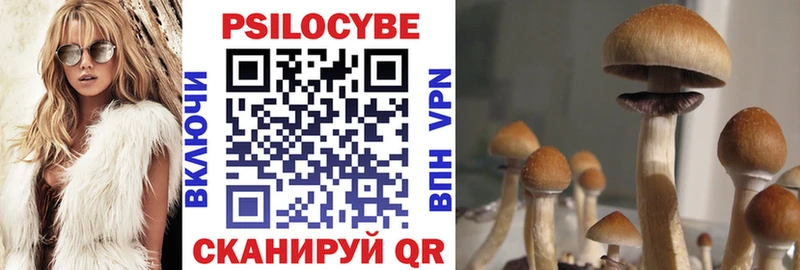 где купить наркотик  Железноводск  Галлюциногенные грибы прущие грибы 