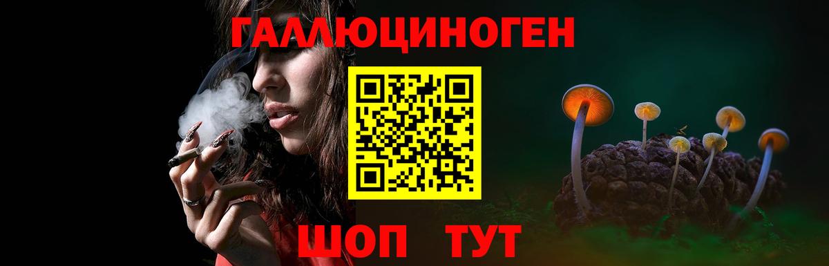 магазин продажи   Вход с VPN  Железноводск  Псилоцибиновые грибы мицелий 