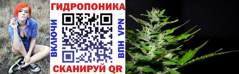 Конопля план Железноводск